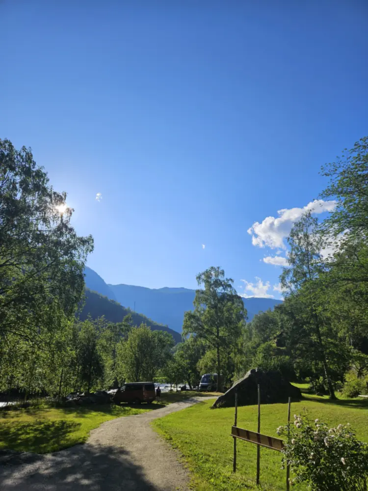 Grasvoll og tre med fjella i bakgrunnen